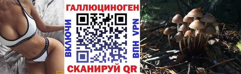 Псилоцибиновые грибы MAGIC MUSHROOMS  как найти закладки  Орёл 